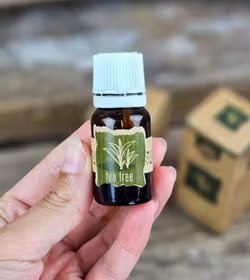 Goloka - Tea tree, Eterisk olja Aromaterapi