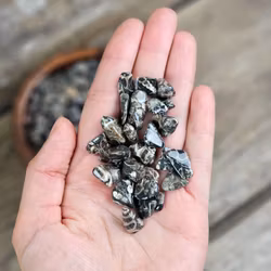 Turitella Agat, små trumlade