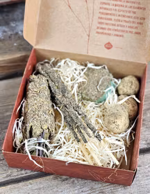 Sagrada Madre - Herbal Kit White Sage, Protection & Healing
