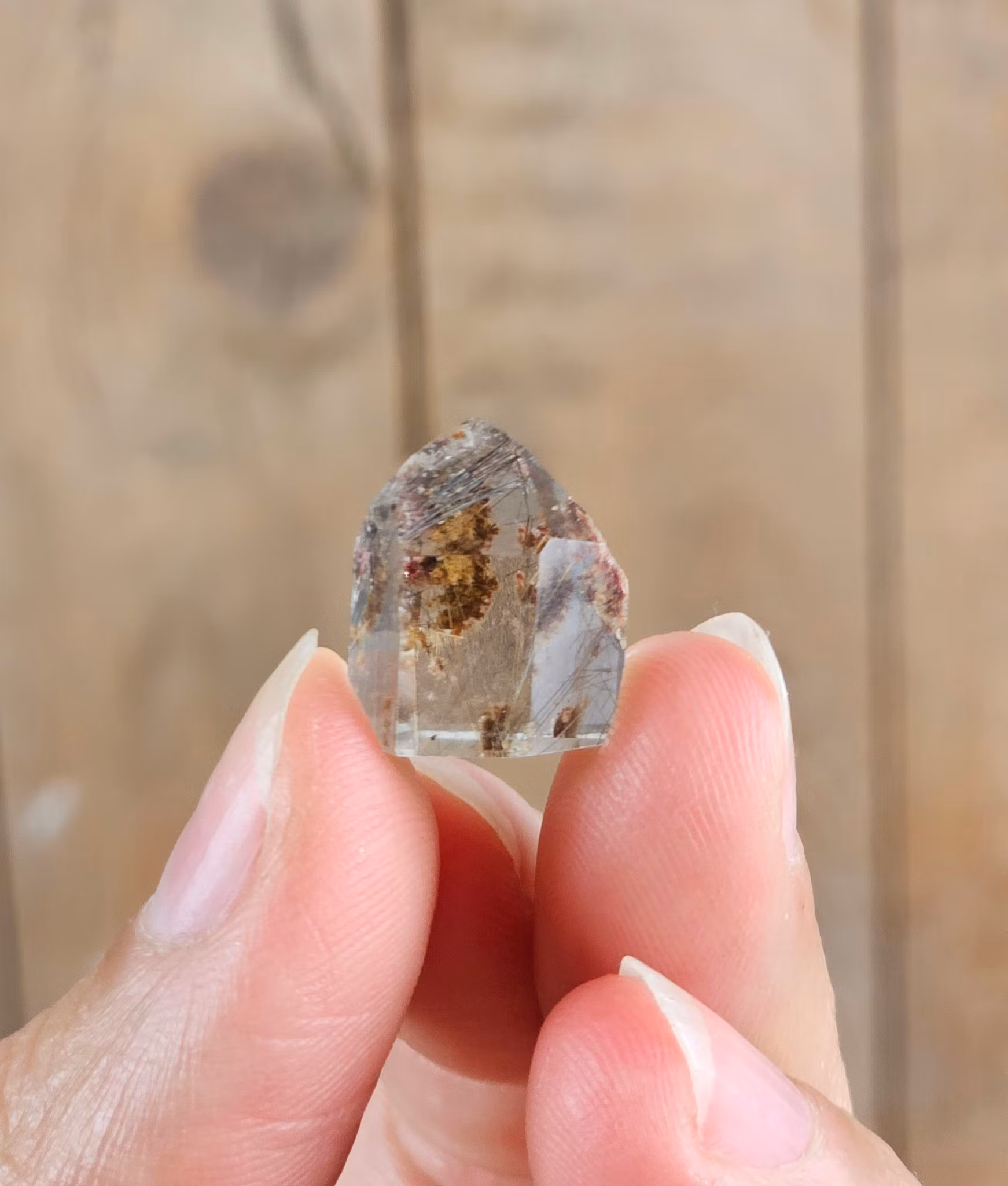 Guldrutilkvarts, spets #5