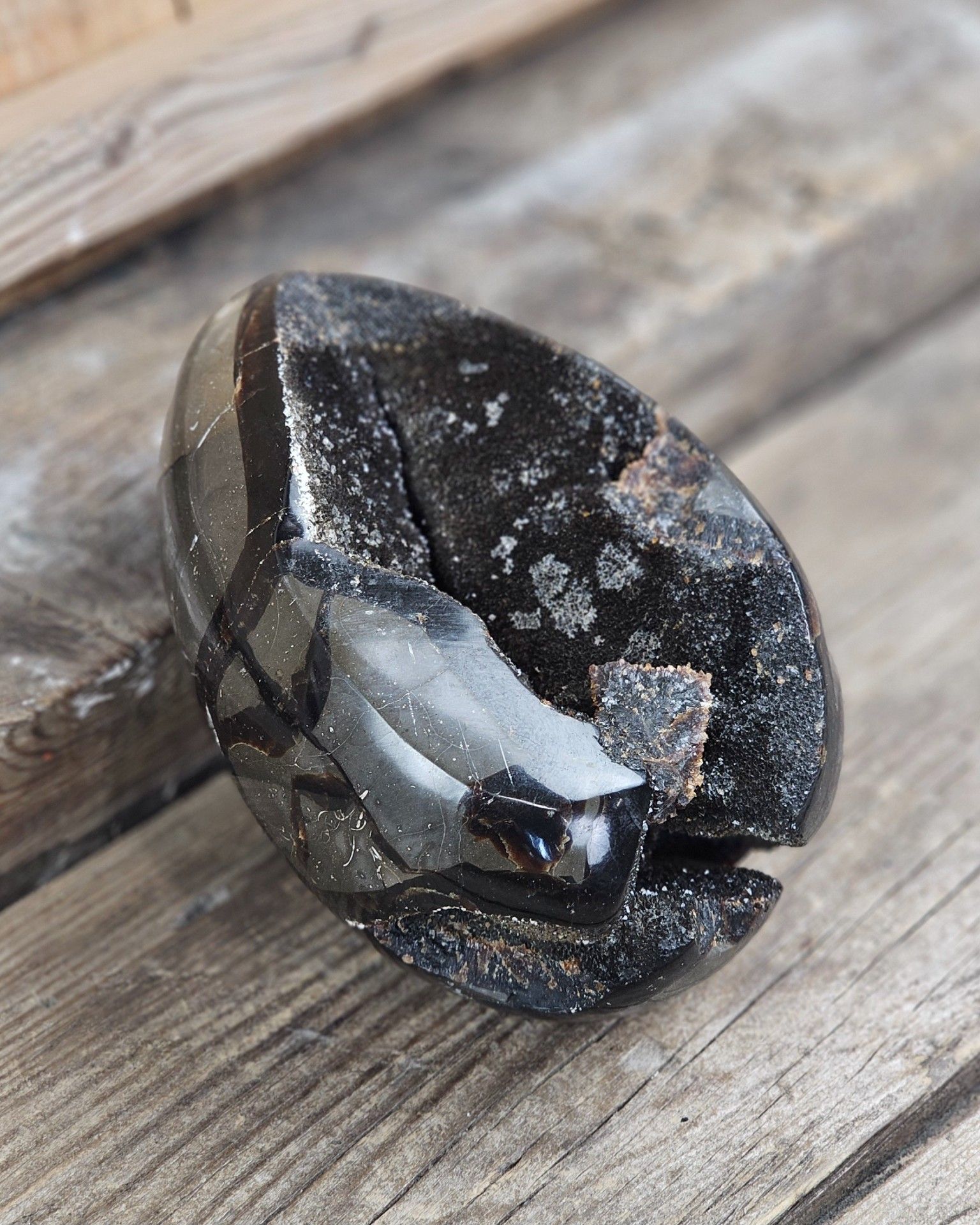 Septarian (Draksten) Ägg, XL polerad