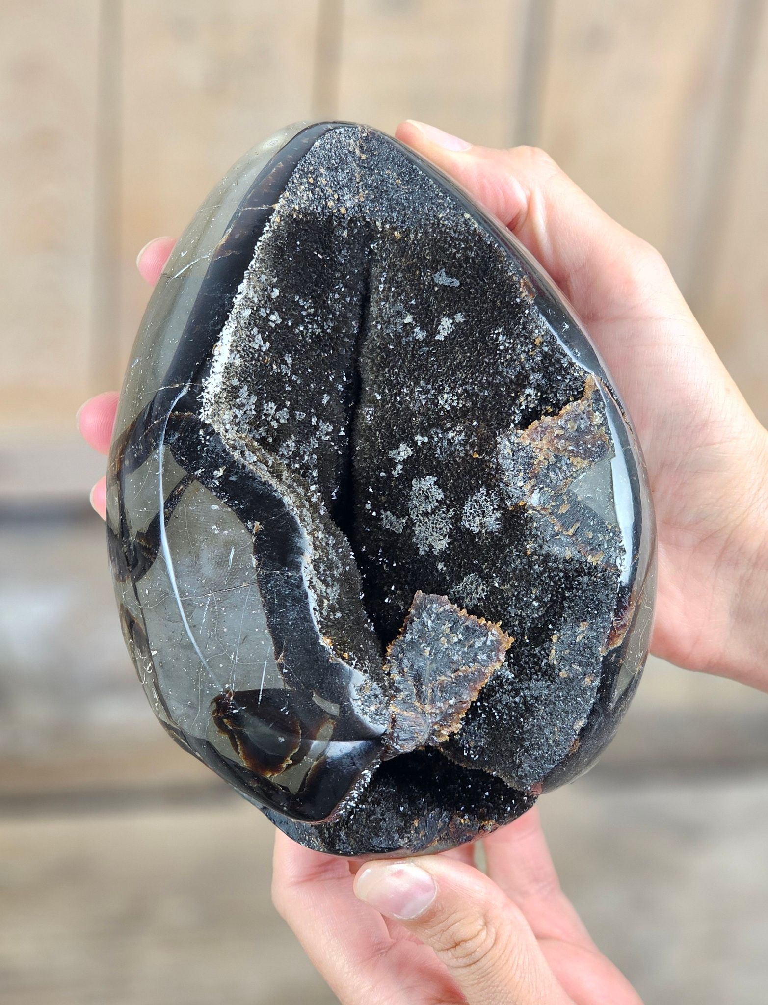 Septarian (Draksten) Ägg, XL polerad