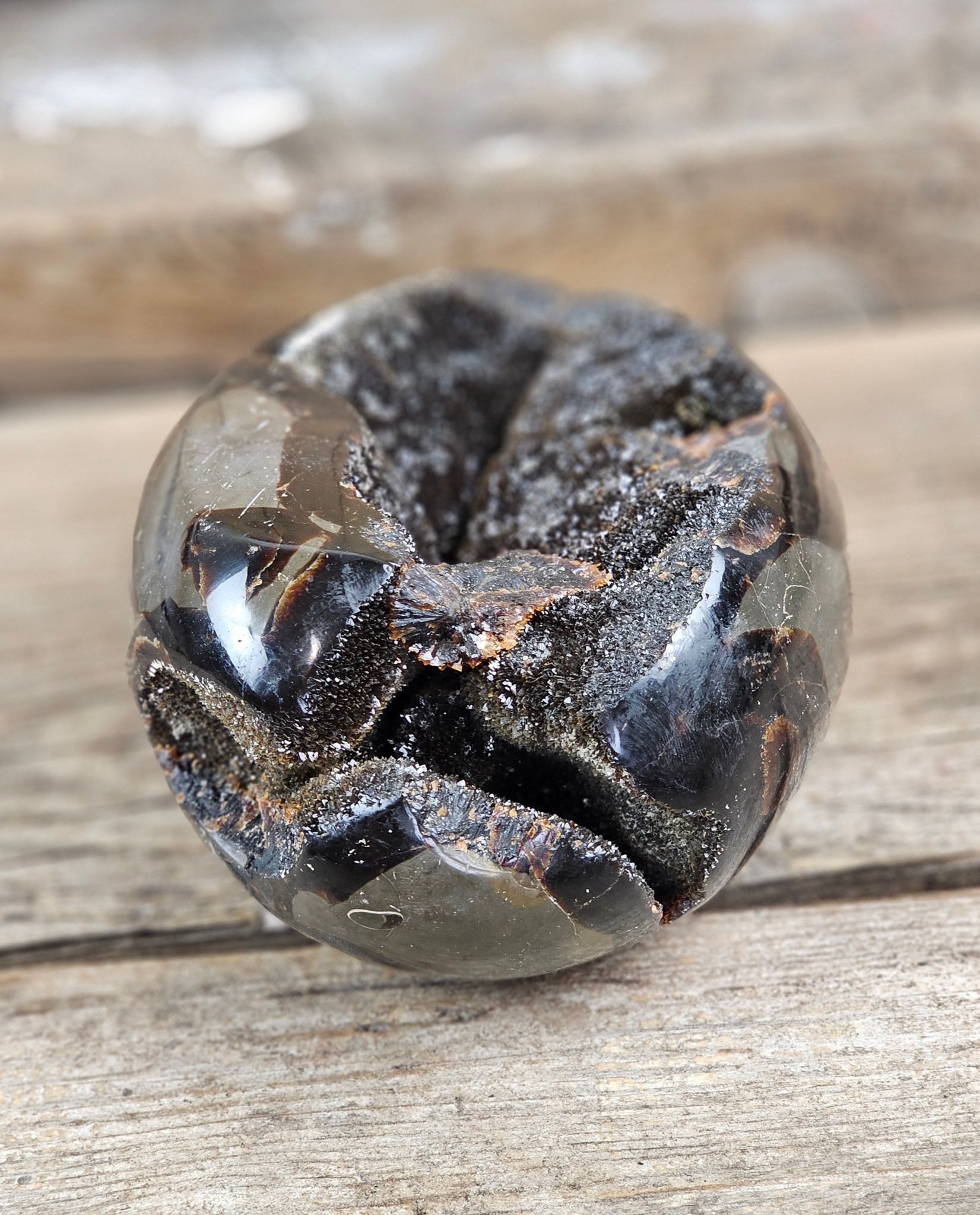 Septarian (Draksten) Ägg, XL polerad