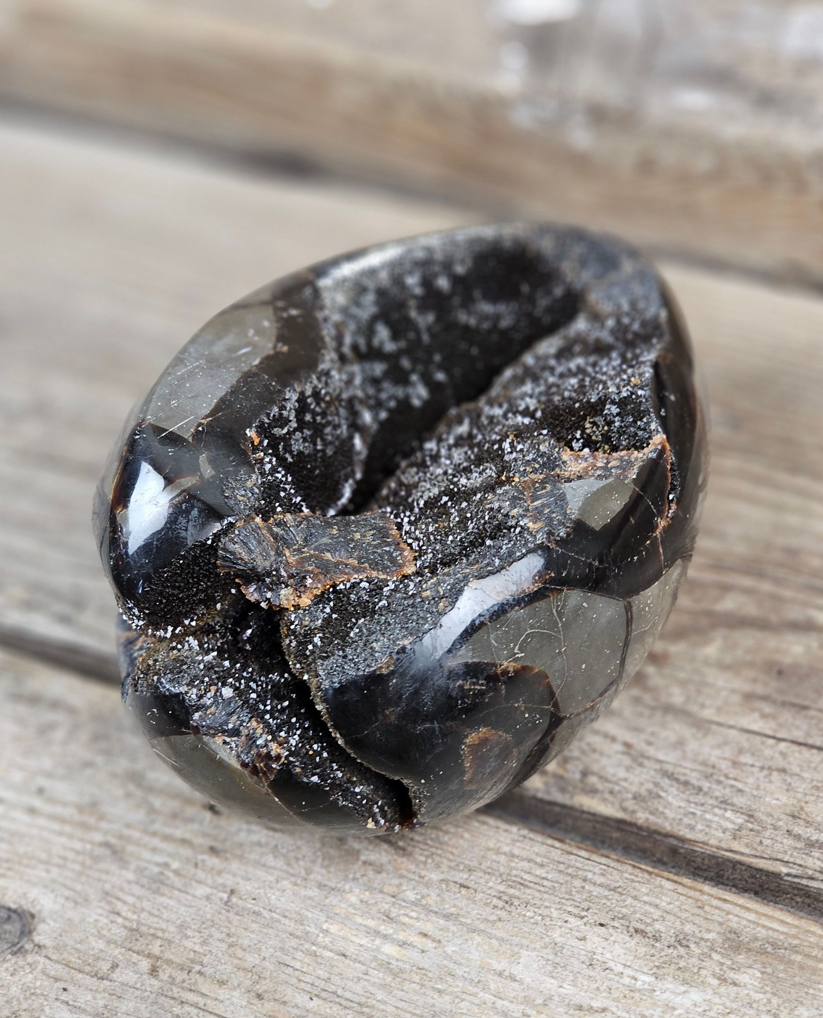 Septarian (Draksten) Ägg, XL polerad