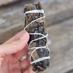 Svart Salvia, bunt (Black Sage)