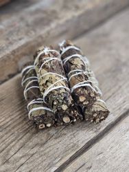 Svart Salvia, bunt (Black Sage)