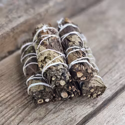 Svart Salvia, bunt (Black Sage)