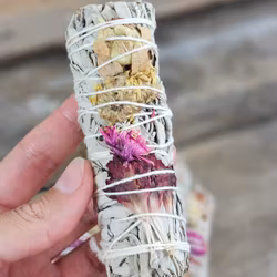 Vit Salvia med Tusensköna