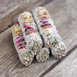 Vit Salvia med Tusensköna