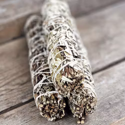 Yerba Santa (Helig ört), extra stor