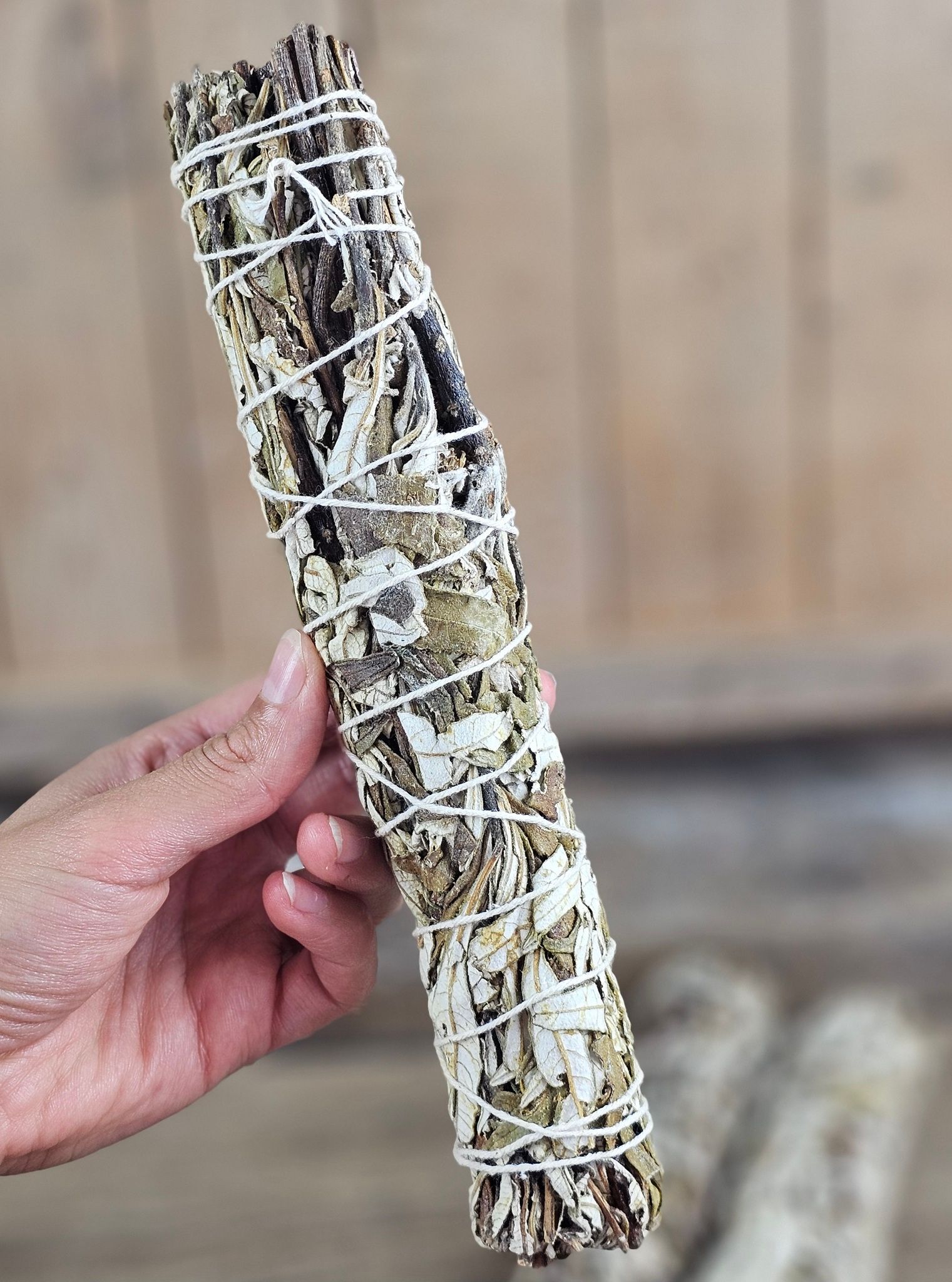 Yerba Santa (Helig ört), extra stor