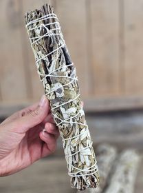 Yerba Santa (Helig ört), extra stor