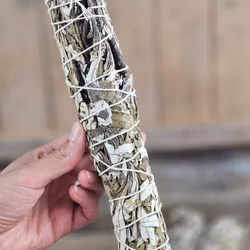 Yerba Santa (Helig ört), extra stor