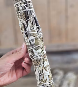 Yerba Santa (Helig ört), extra stor