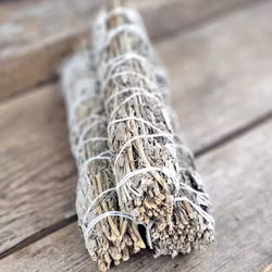 Vit Salvia med Lavendel, extra stor