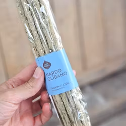 Sagrada Madre Line x 20 (Savings Pack) - Nardusört & Frankincense, rökelsepinnar