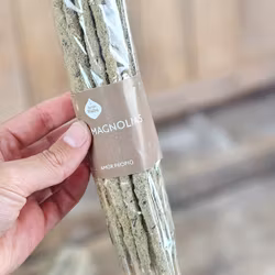 Sagrada Madre Line x 20 (Savings Pack) - Magnolia, rökelsepinnar