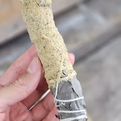 Sagrada Madre Sahumitos - Smudge Frankincense
