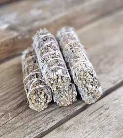 Vit Salvia med Lavendelblommor