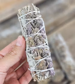 Vit Salvia med Lavendelblommor