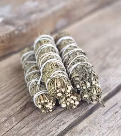 Vinruta (Ruda Rue), bunt