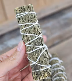 Vinruta (Ruda Rue), bunt