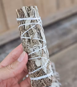 Vit Salvia med Timjan