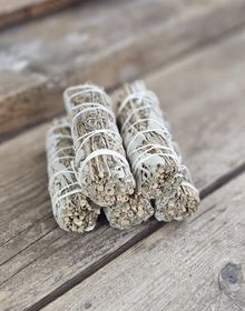 Vit Salvia med Lavendel