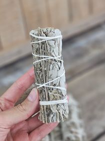 Vit Salvia med Lavendel