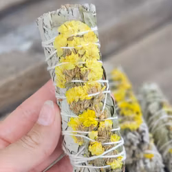 Vit Salvia med gula blommor