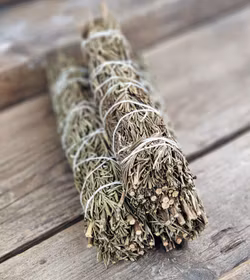 Rosmarin, extra stor bunt