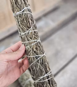 Rosmarin, extra stor bunt