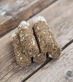 Vit Salvia med Patchouli, smudge bunt