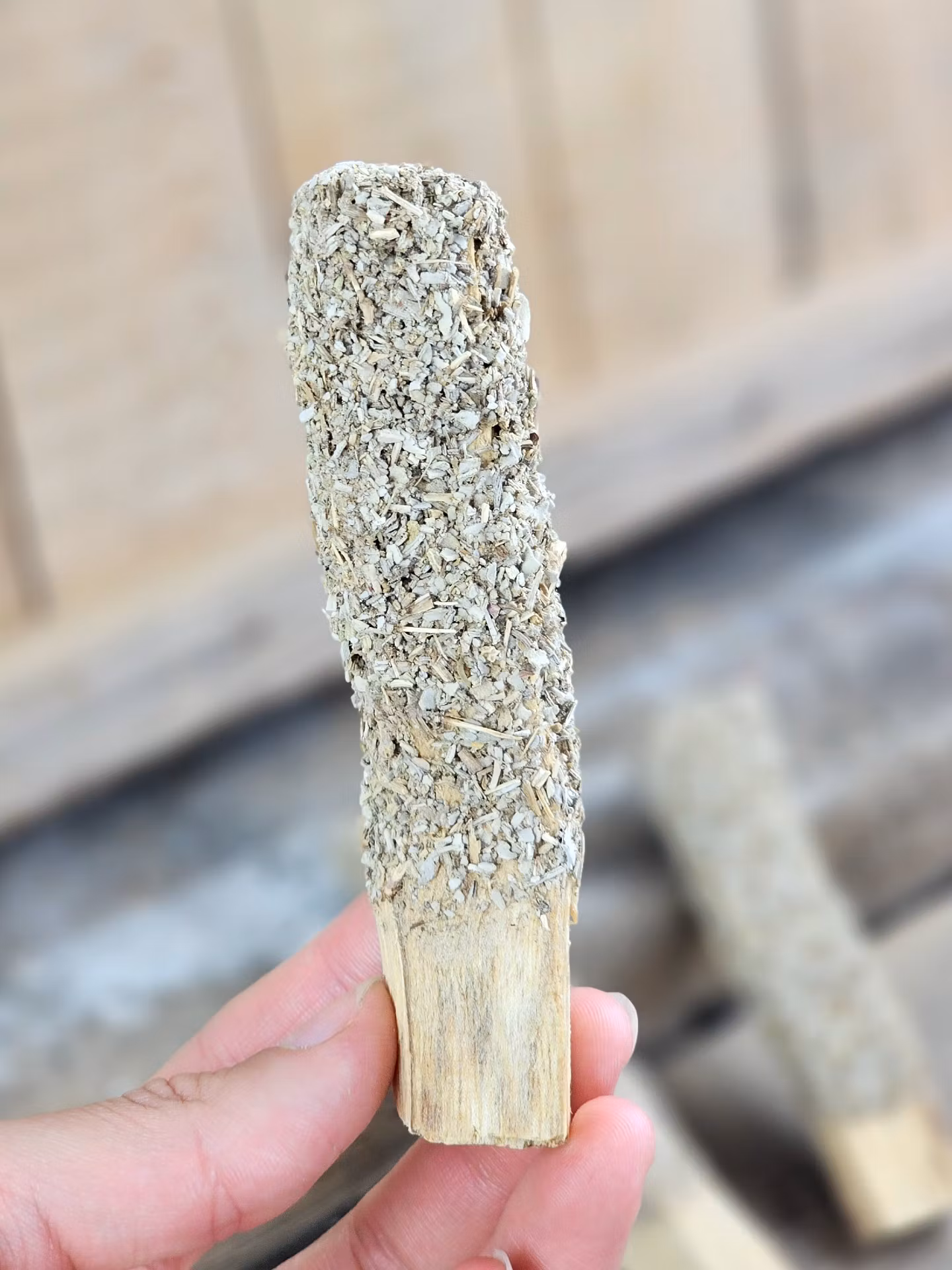 Palo Santo (Heligt trä), smudge med mald Vit Salvia