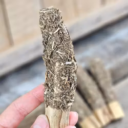 Palo Santo (Heligt trä), smudge med Citronella