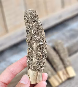 Palo Santo (Heligt trä), smudge med Citronella