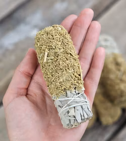 Vit Salvia med Vinruta, smudge bunt