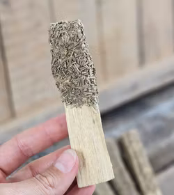 Palo Santo (Heligt trä), smudge med torkad Rosmarin