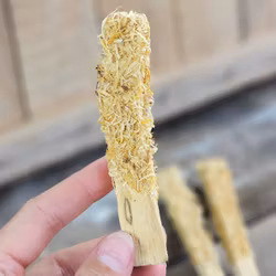 Palo Santo (Heligt trä), smudge med Ringblomma