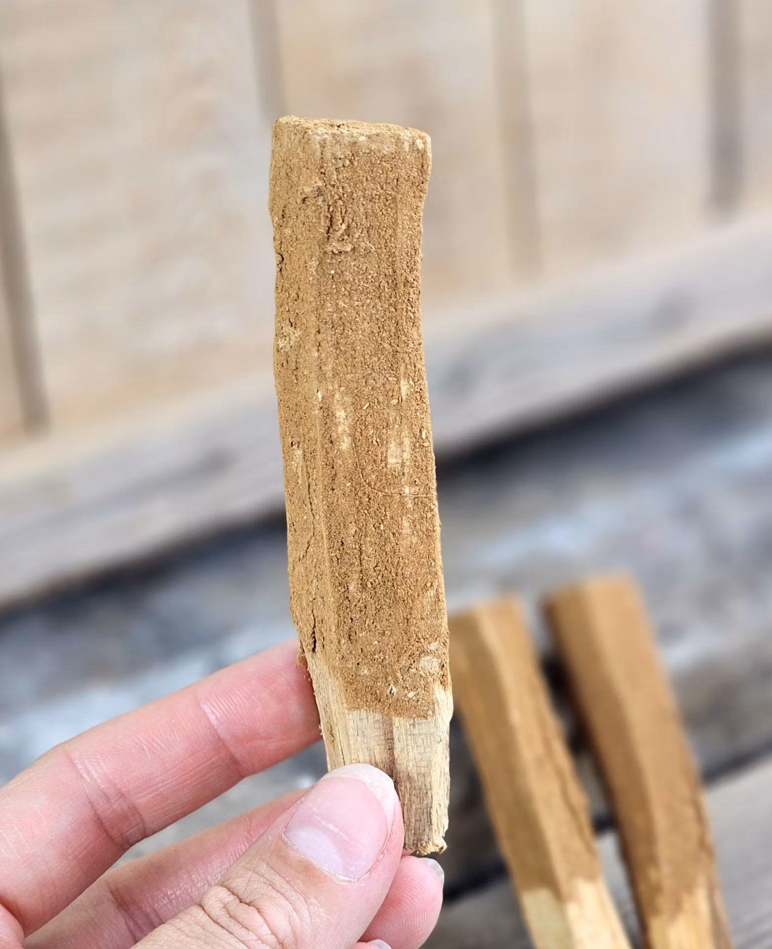 Palo Santo (Heligt trä), smudge med Kanel