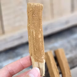 Palo Santo (Heligt trä), smudge med Kanel
