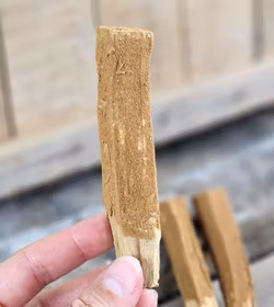 Palo Santo (Heligt trä), smudge med Kanel