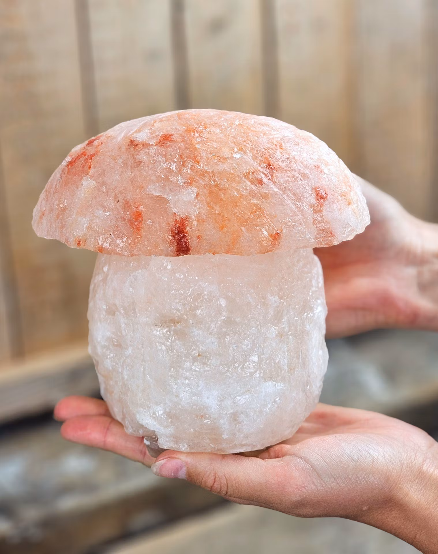 Himalaya Saltkristall, lampa svamp