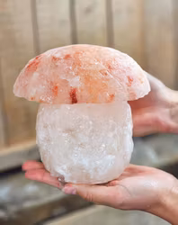 Himalaya Saltkristall, lampa svamp