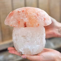 Himalaya Saltkristall, lampa svamp