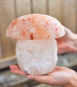 Himalaya Saltkristall, lampa svamp