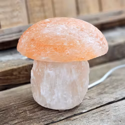 Himalaya Saltkristall, lampa svamp