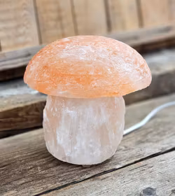 Himalaya Saltkristall, lampa svamp