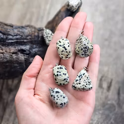 Dalmatinerjaspis stor trumlad, silverpläterat hänge