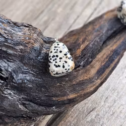 Dalmatinerjaspis stor trumlad, silverpläterat hänge